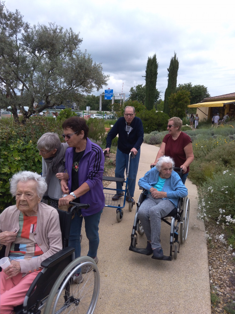 Sortie à l'Occitane en Provence