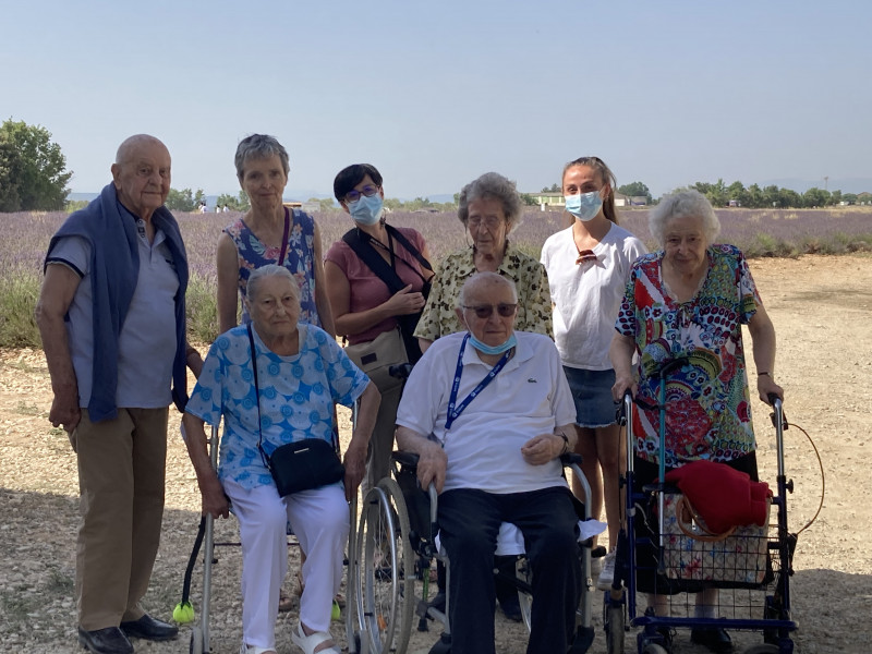 Plateau de Valensole