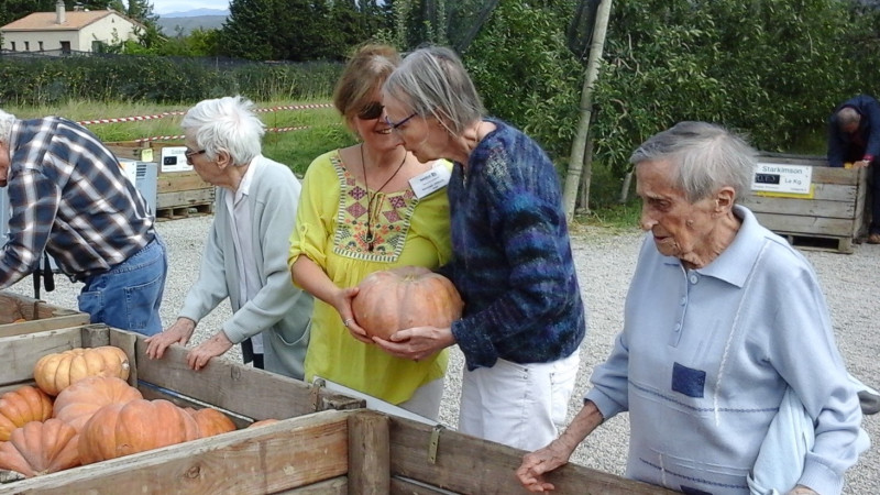 Cueillons des pommes!