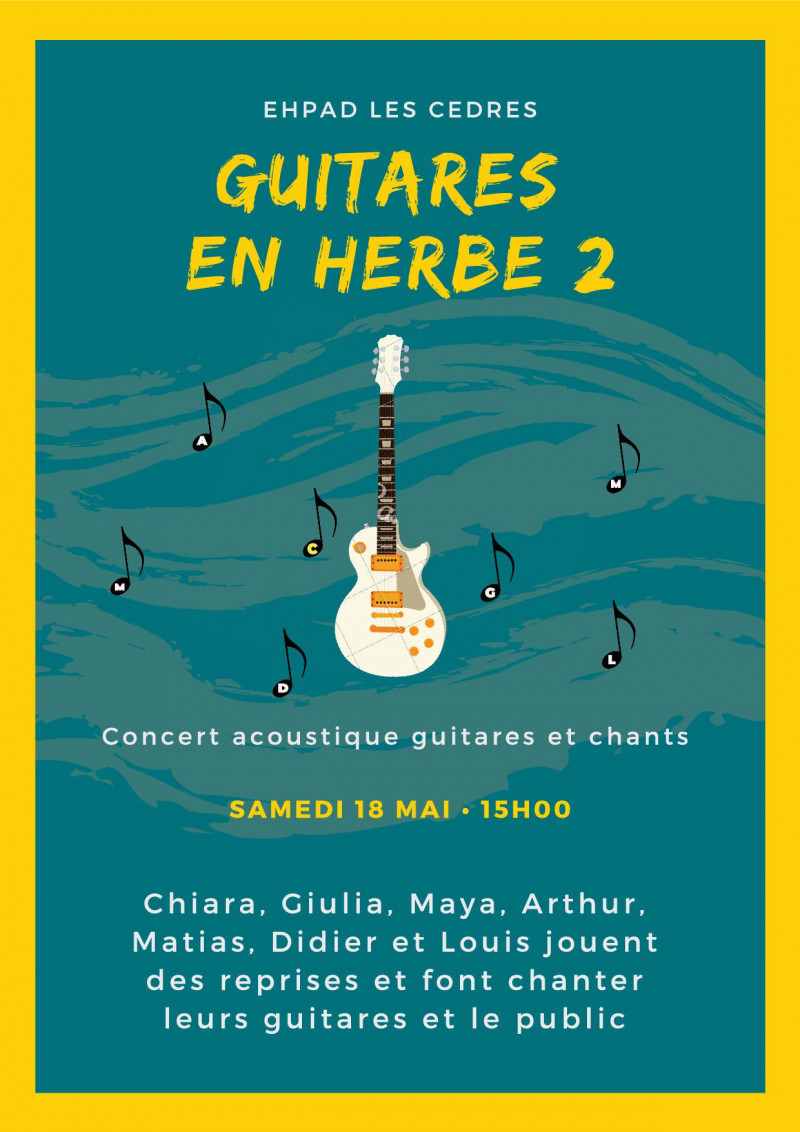 Spectacle "Guitares en herbe"